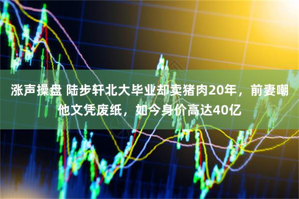 涨声操盘 陆步轩北大毕业却卖猪肉20年，前妻嘲他文凭废纸，如今身价高达40亿