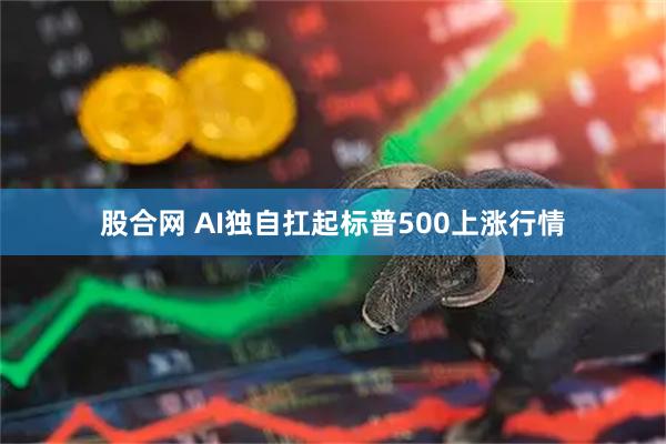 股合网 AI独自扛起标普500上涨行情